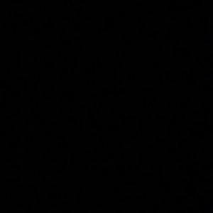 Meet your Posher, Abigail